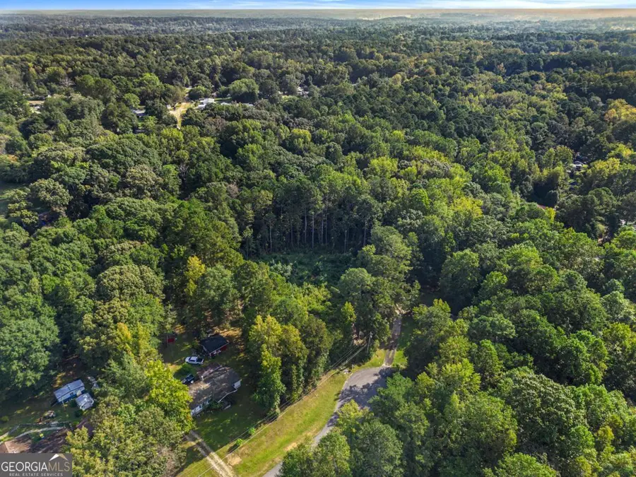 0 Maple Trail, Sharpsburg, GA 30277 - #3