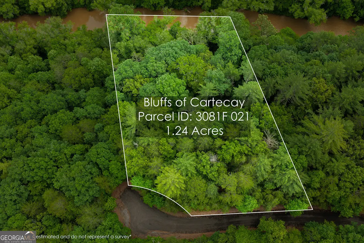 LOT 21 Aspen Avenue, Ellijay, GA 30540 - #1