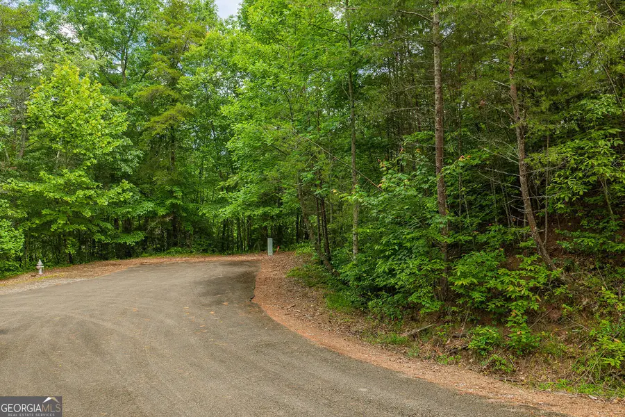 LOT 21 Aspen Avenue, Ellijay, GA 30540 - #2