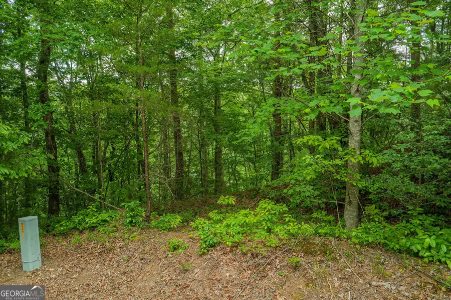 LOT 21 Aspen Avenue, Ellijay, GA 30540 - #3