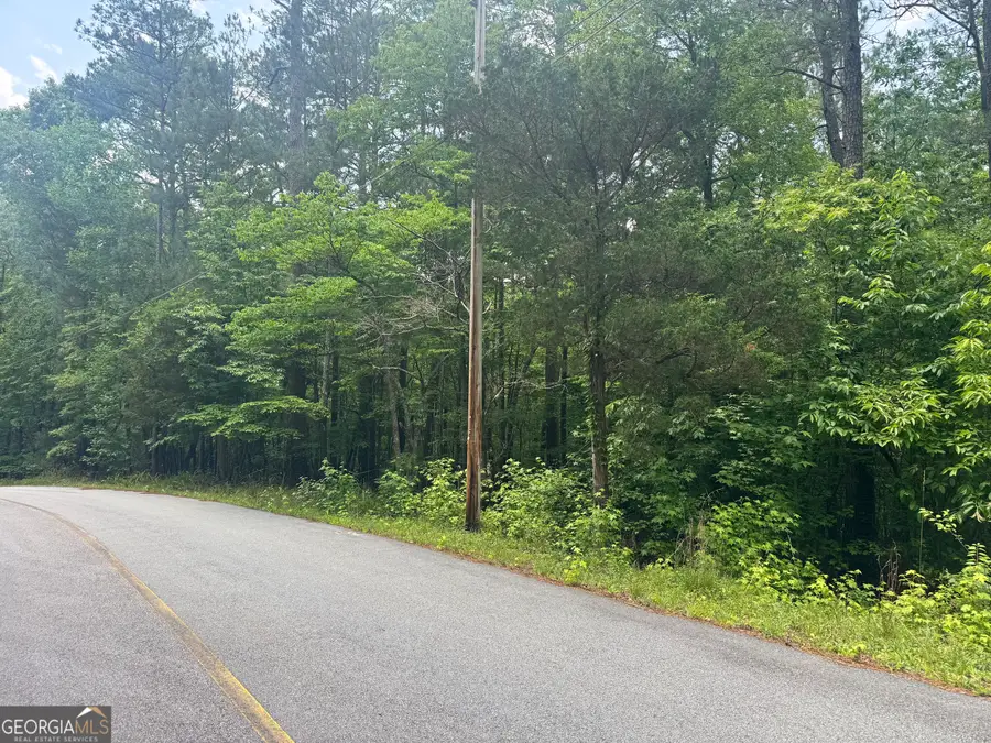 8017 Longleaf Drive, Villa Rica, GA 30180 - #3