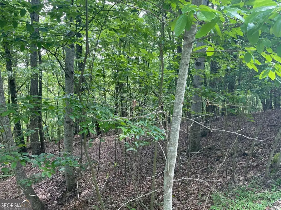 LOT 11 Brumby Run #11, Blairsville, GA 30512 - #2