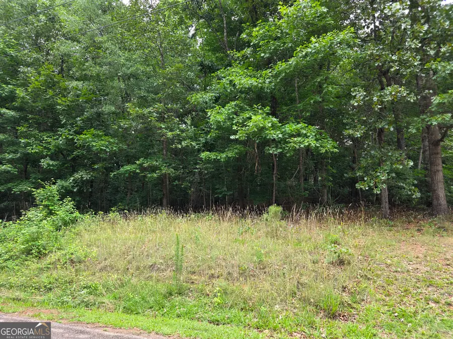 LOT 270 Arrow Lane, Lavonia, GA 30553 - #2
