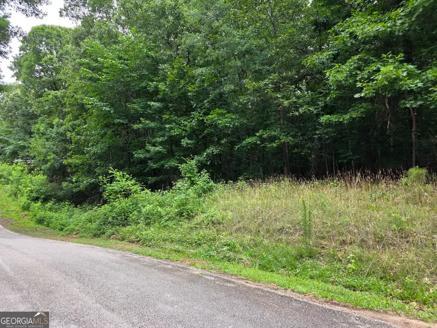 LOT 270 Arrow Lane, Lavonia, GA 30553 - #3