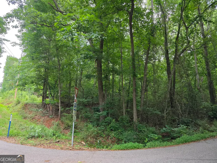 LOT 109 Arrowhead Drive, Lavonia, GA 30553 - #2