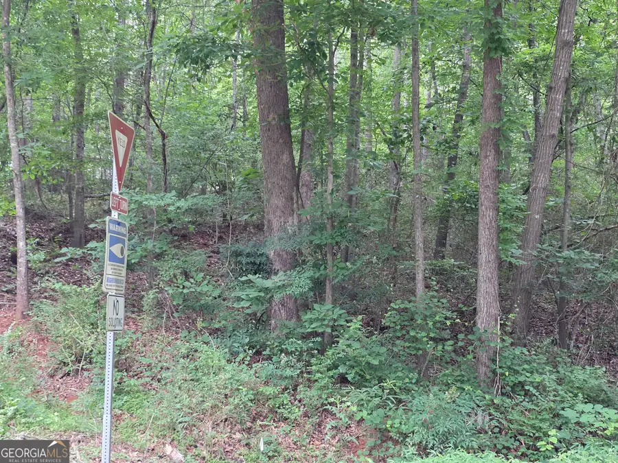 LOT 109 Arrowhead Drive, Lavonia, GA 30553 - #3