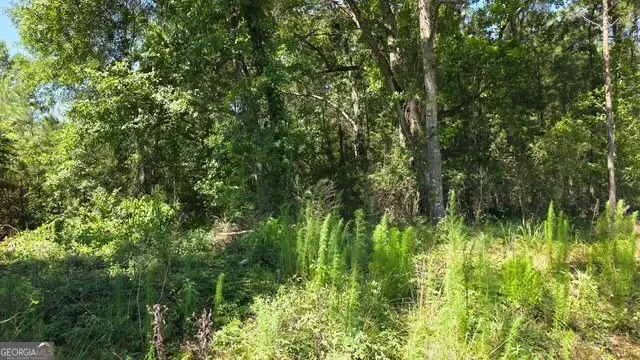0 Willow Lake Road, Fort Valley, GA 31030 - #3