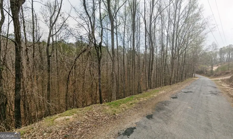 0 Tidwell Hollow #TRACT A, Oneonta, AL 35121 - #2