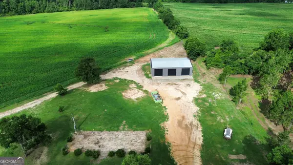 487 Perry Horton Road, Adrian, GA 31002