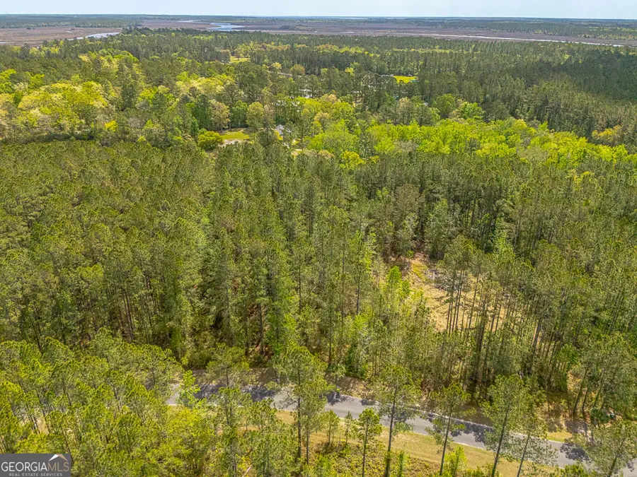 LOT 4 Waverly Lane, White Oak, GA 31568 - #3
