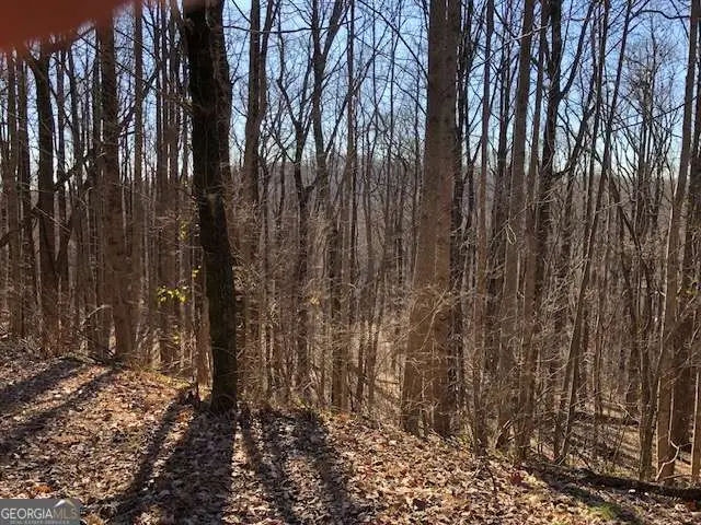 0 Highlands Parkway # LOT 45, Jasper, GA 30143 - #2
