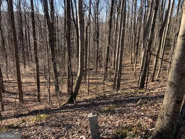 0 Highlands Parkway # LOT 45, Jasper, GA 30143 - #3