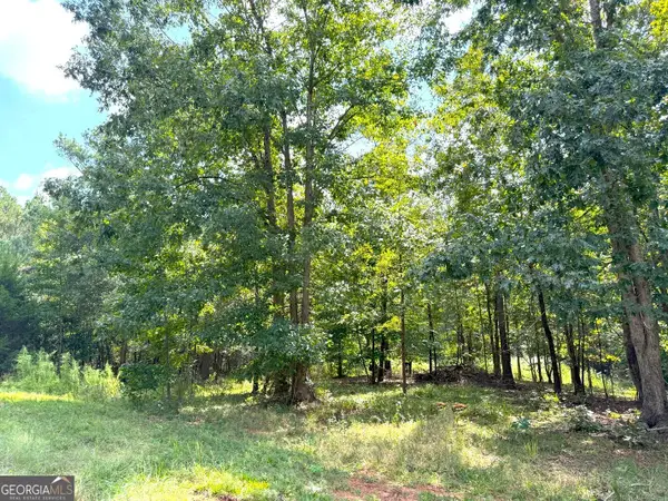 1049 Jaybird Lane, Elberton, GA 30635