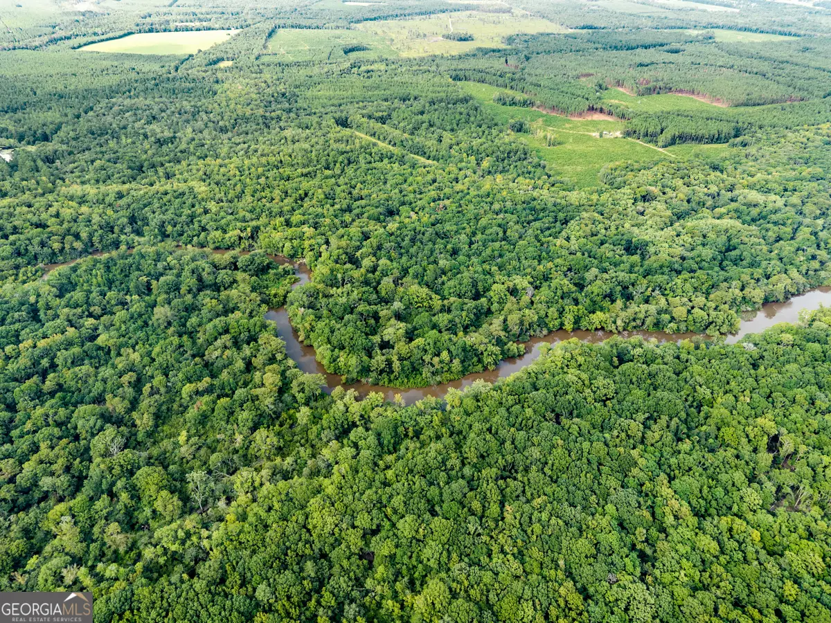 232 ACRES Old River Road N, Statesboro, GA 30461 - #1