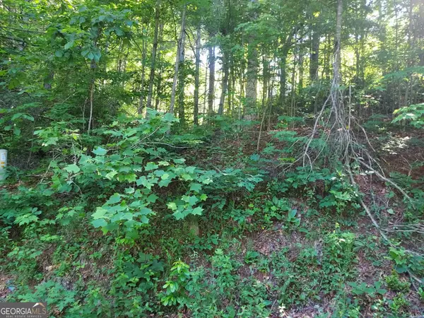 0 Driver Lane, Sky Valley, GA 30537
