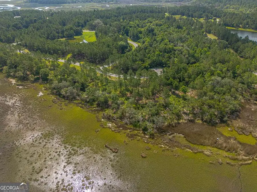 LOT 98 Wards Way, Waverly, GA 31565 - #2