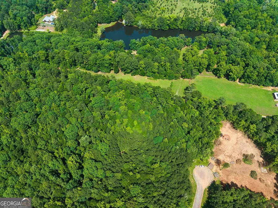 1025 Queens Bridge Way, Griffin, GA 30223 - #3
