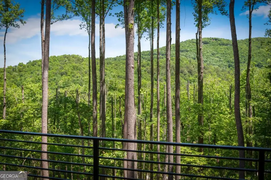 172 Grand Oaks Trail, Morganton, GA 30560 - #2