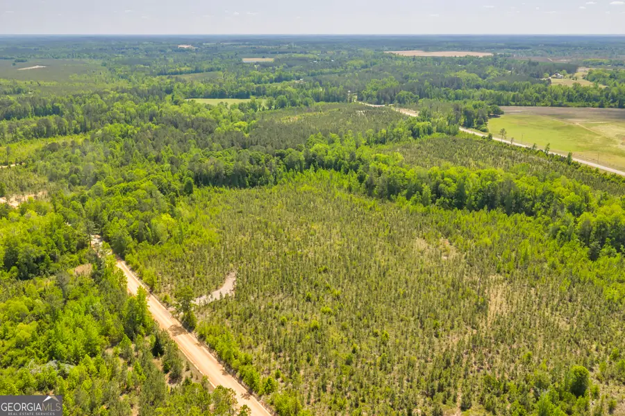 18 Graham Lane, Cadwell, GA 31009 - #3