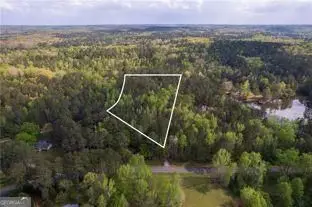 0 Steed Road, Chattahoochee Hills, GA 30213 - #1