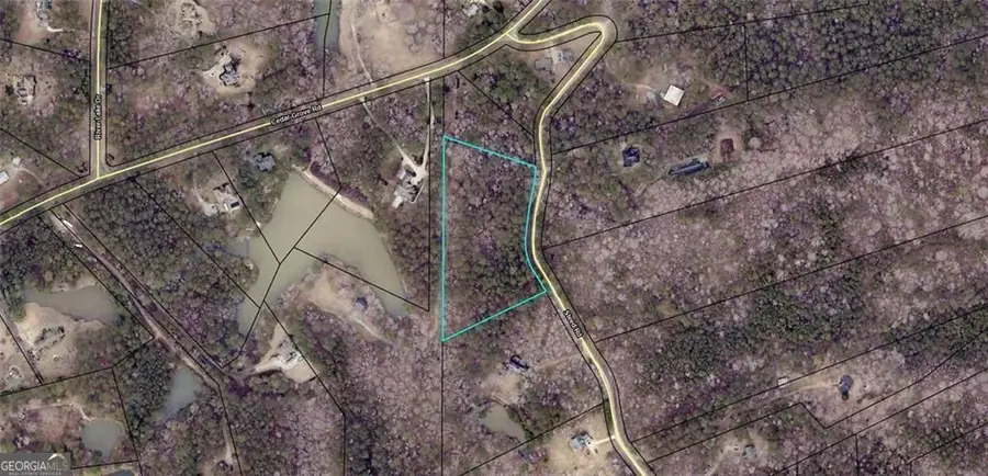 0 Steed Road, Chattahoochee Hills, GA 30213 - #2