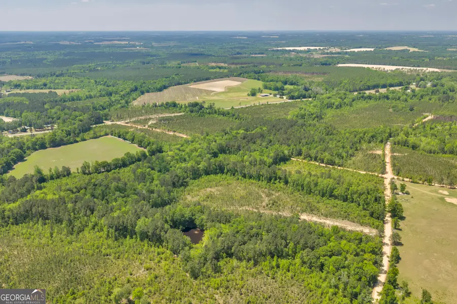 29 Graham Lane, Cadwell, GA 31009 - #3