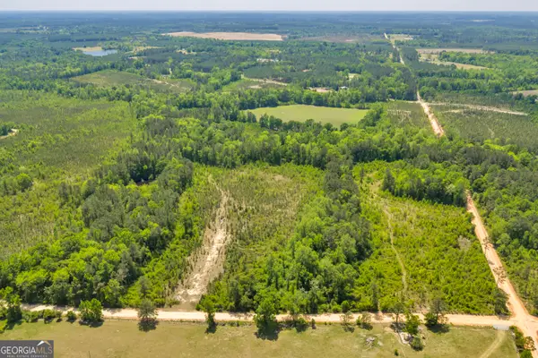 30 Graham Lane, Cadwell, GA 31009