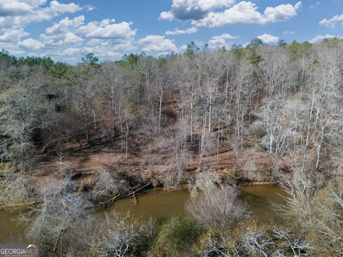 0 County Road 432 Lot 4 #L4, Woodland, AL 36280 - #1