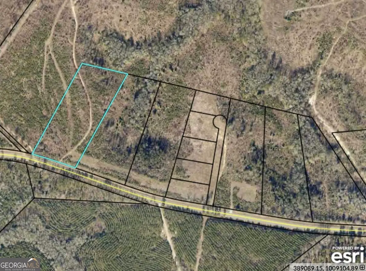 0 Old Balls Ferry Road, Toomsboro, GA 31090 - #1
