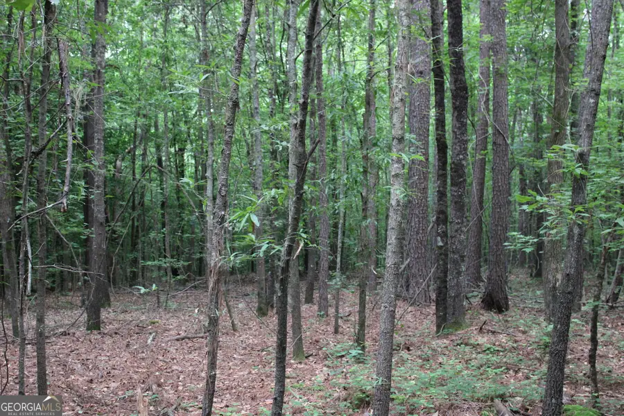 1 Garnett Ward Road, Hull, GA 30646 - #3