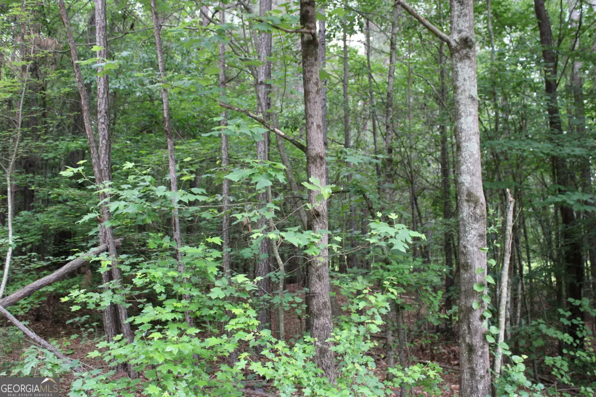 2 Garnett Ward Road, Hull, GA 30646 - #1