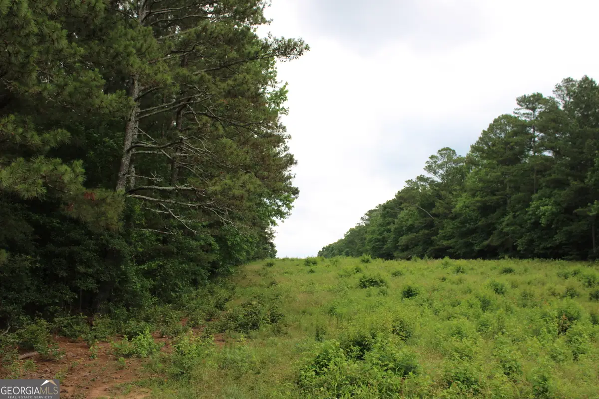 4 Garnett Ward Road, Hull, GA 30646 - #1