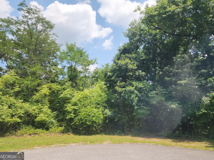 LOT #14 Little Eagle Mtn, Clarkesville, GA 30523 - #3