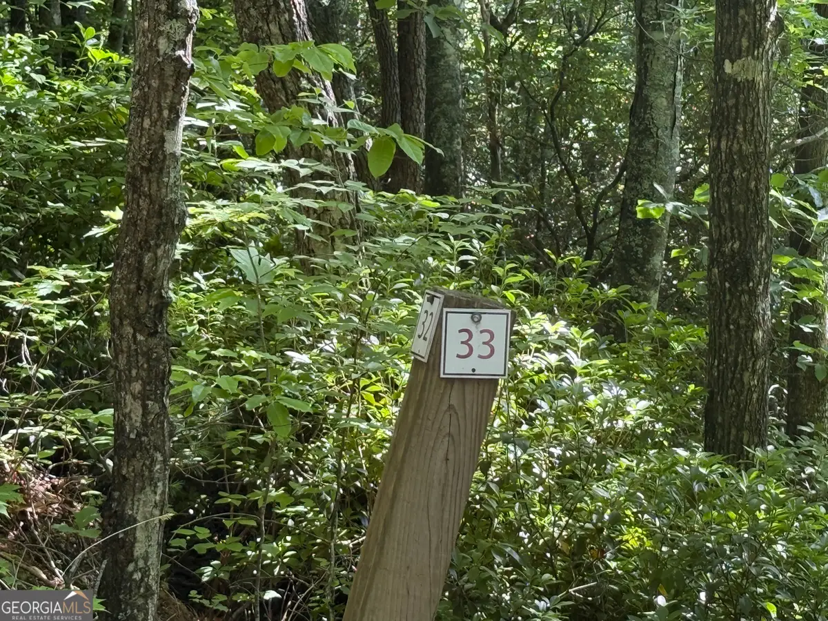 LOT 33 Fodder Creek Mill Drive, Hiawassee, GA 30546 - #1
