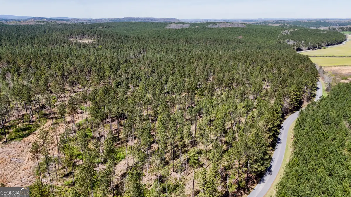 403 ACRES Youngs Farm Road, Cedartown, GA 30125 - #1