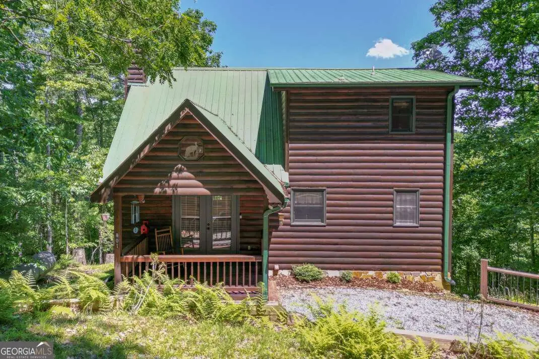 801 Davenport Mountain Road, Blue Ridge, GA 30513 - #1