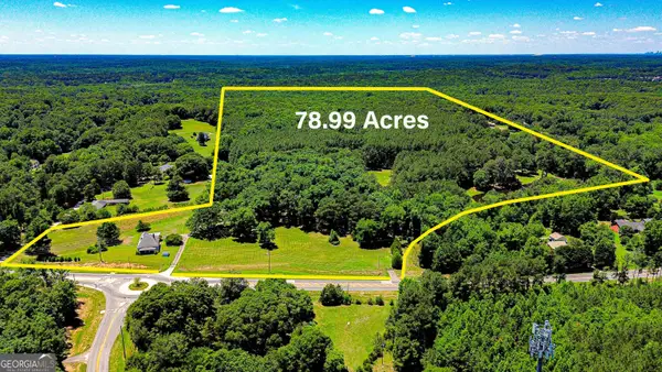 1799 AND 1875 Highway 138 E, Stockbridge, GA 30281