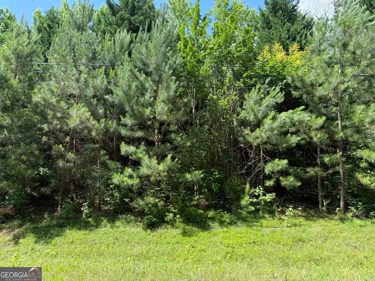 1425 River Road, Warm Springs, GA 31830 - #1