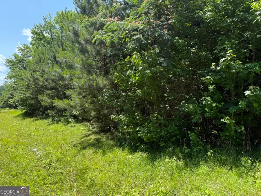 1425 River Road, Warm Springs, GA 31830 - #3