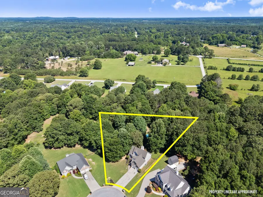 4523 Lafayette Lane, Loganville, GA 30052 - #3