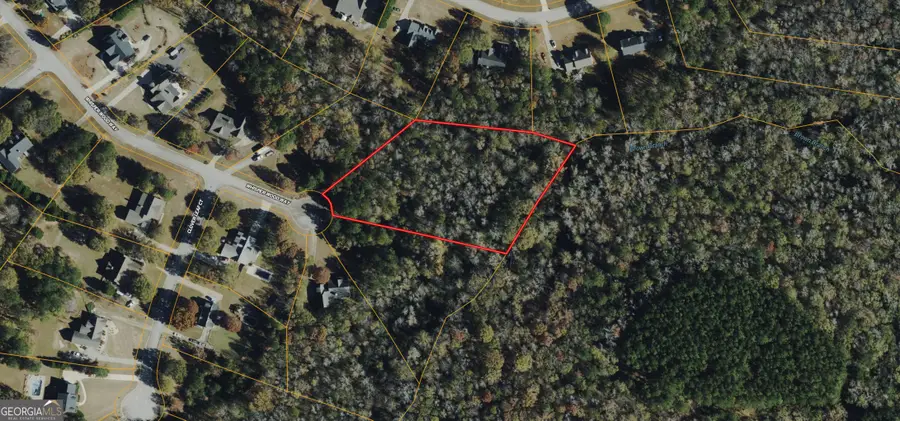 419 Whisper Wood Way, Locust Grove, GA 30248 - #2