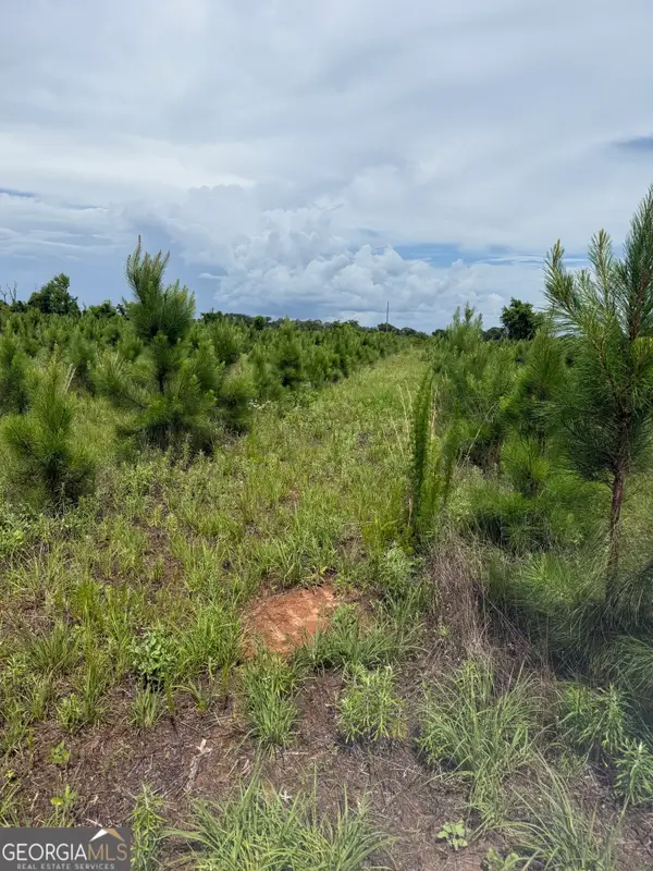 4276 County Line Rd, Lumpkin, GA 31815