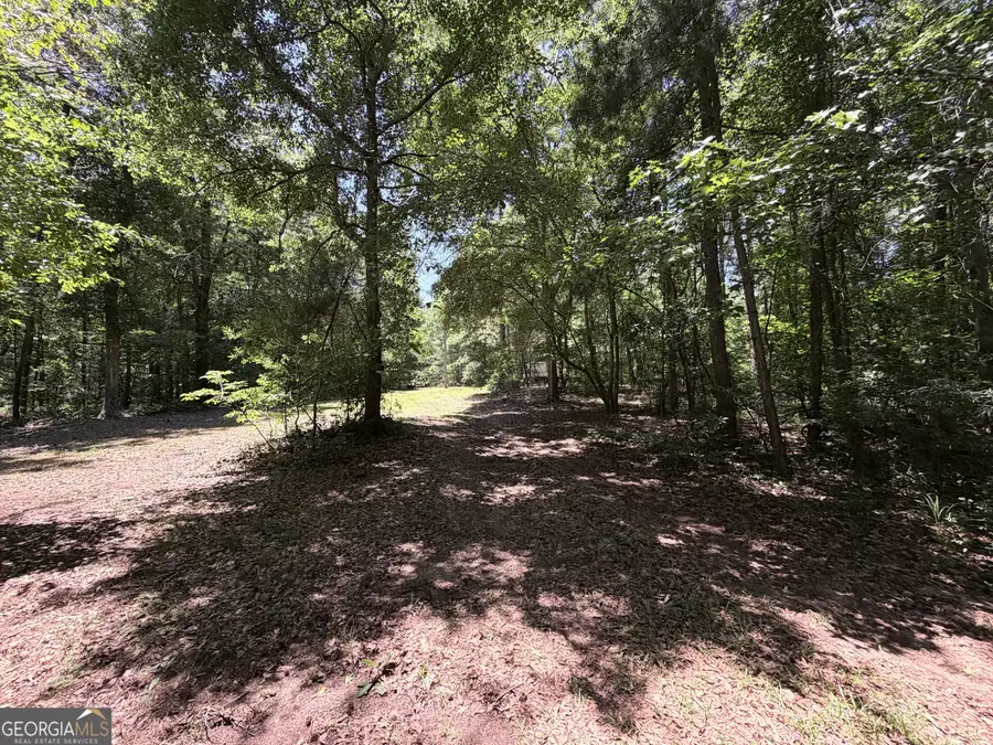 256 W Kellogg Drive, Colbert, GA 30628 - #3