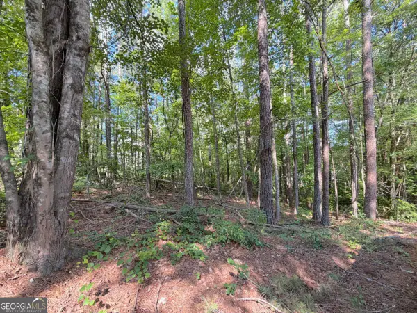1306 Southgate Drive, Villa Rica, GA 30180