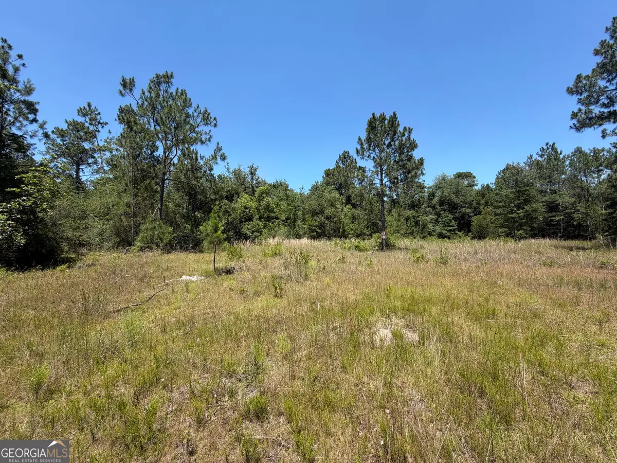 204 John Osburn Lane, Hazlehurst, GA 31539 - #1