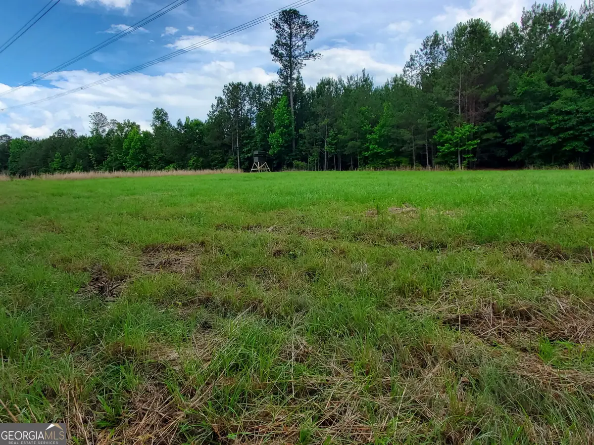 1 Roy Lawrence Road, Sparta, GA 31087 - #1