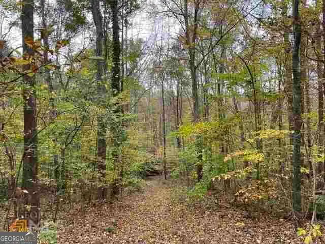 4630 Cleveland Road, Stonecrest, GA 30038 - #1