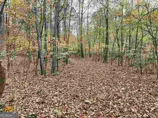 4630 Cleveland Road, Stonecrest, GA 30038 - #2