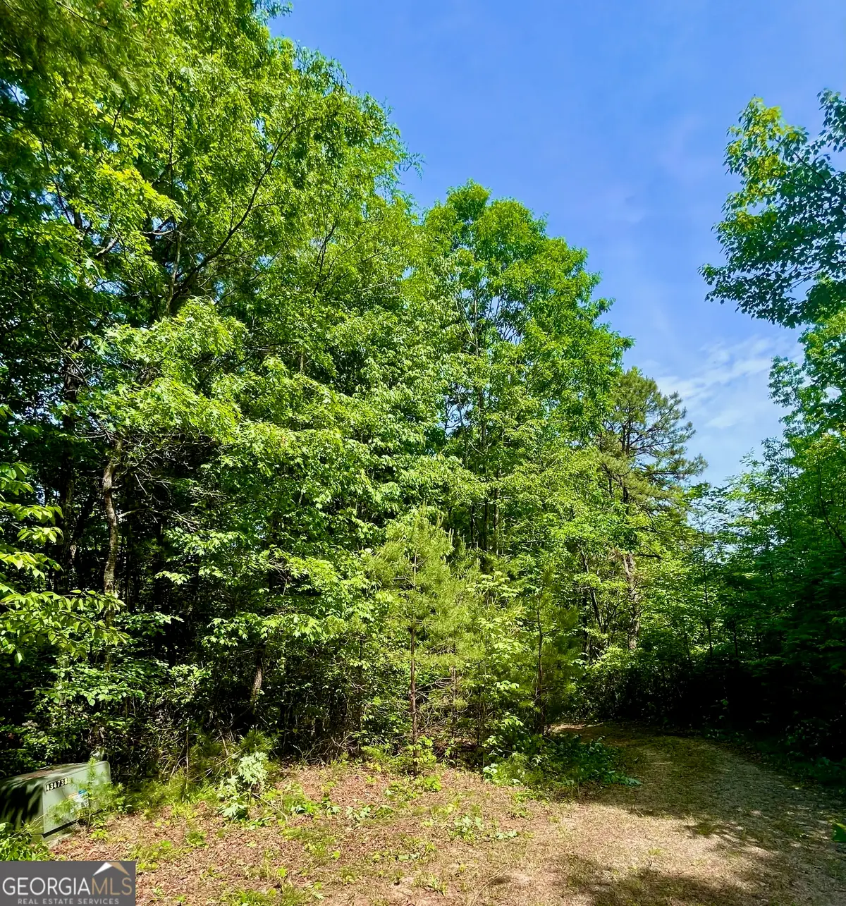 0 Bluff Mtn, Dillard, GA 30537 - #1