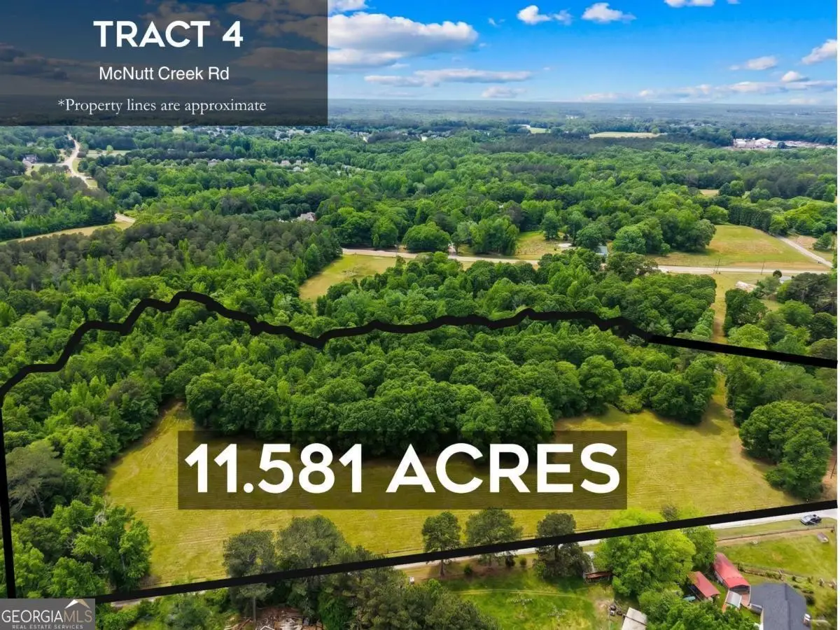 TRACT 4 Mcnutts Creek Road, Bogart, GA 30622 - #1